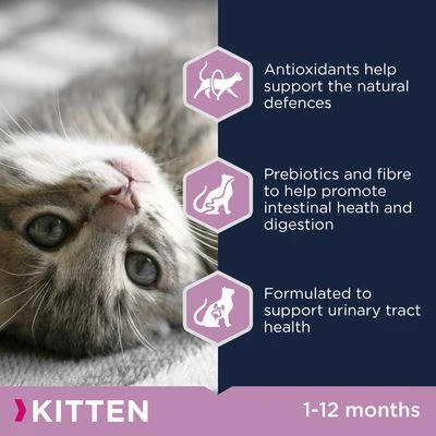 Eukanuba Healthy Start Kitten 2 Eukanuba Healthy Start Kitten - Image 2