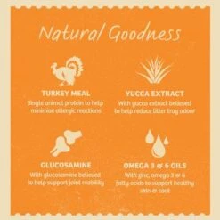 James Wellbeloved Senior Pouches - Turkey 10 James Wellbeloved Senior Pouches - Turkey -Perfect Care Shop ew9b0iofqpmzllqe1aor 2048x 4