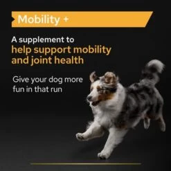 Pro Plan Mobility Dog Supplement Powder -Perfect Care Shop features 4