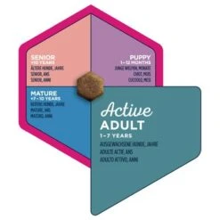 Eukanuba Active Adult Medium Breed Chicken 8 Eukanuba Active Adult Medium Breed Chicken -Perfect Care Shop iams eukanuba 8710255146119 3 3