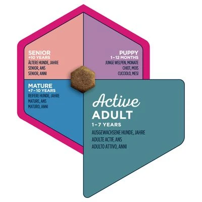 Eukanuba Active Adult Medium Breed Chicken 4 Eukanuba Active Adult Medium Breed Chicken - Image 4