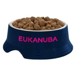 Eukanuba Active Adult Medium Breed Chicken 7 Eukanuba Active Adult Medium Breed Chicken -Perfect Care Shop iams eukanuba 8710255146119 4 0