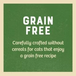 James Wellbeloved Senior Pouches - Turkey 11 James Wellbeloved Senior Pouches - Turkey -Perfect Care Shop iqv93dao94srrqmerrib 2048x 4