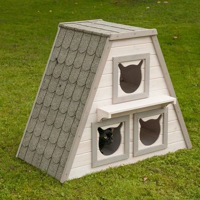 Madeira Cat House 6 Madeira Cat House - Image 6