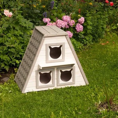 Madeira Cat House 7 Madeira Cat House - Image 7