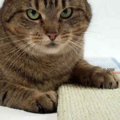 Trixie Sisal Cat Scratching Board -Perfect Care Shop katzen kratzmatte2 1