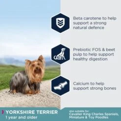 Eukanuba Yorkshire Terrier Adult -Perfect Care Shop key benefits 6