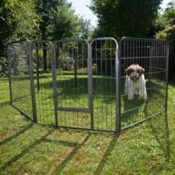 Metal Run For Puppies – 8 Sided