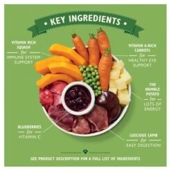 Lily's Kitchen Lamb Hotpot -Perfect Care Shop lamb hotpot key ingredients 2