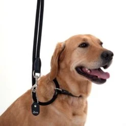 HUNTER Retriever Slip Lead - 260cm -Perfect Care Shop leine halsband 11 1