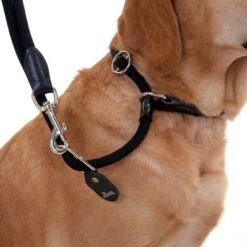 HUNTER Retriever Slip Lead - 260cm -Perfect Care Shop leine halsband 13 1