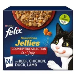 Felix Sensations 24 X 85g