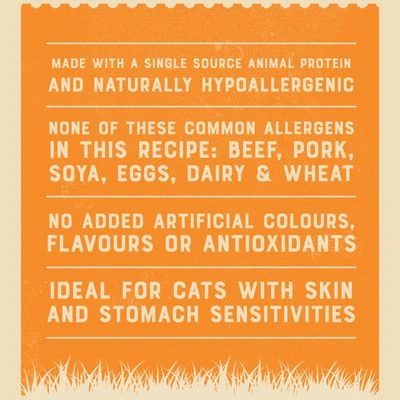 James Wellbeloved Senior Pouches - Turkey 6 James Wellbeloved Senior Pouches - Turkey - Image 6