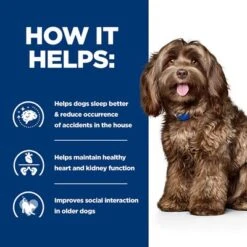 Hill's Prescription Diet Canine B/d Ageing & Alertness Care - Chicken -Perfect Care Shop pd bd dog bk28322m how helps uk 1