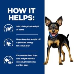 Hill’s Prescription Diet Canine Mini Metabolic -Perfect Care Shop pd metabolic dog mini bk28229m bk30786 how helps uk 4