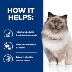 Hill's Prescription Diet Feline R/d Weight Reduction - Chicken 13 Hill's Prescription Diet Feline R/d Weight Reduction - Chicken -Perfect Care Shop pd rd cat bk24502m bk29689 how helps uk 3