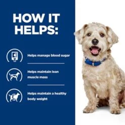 Hill's Prescription Diet W/d Diabetes Care - Chicken -Perfect Care Shop pd wd dog bk32587m bk27668 how helps uk 9