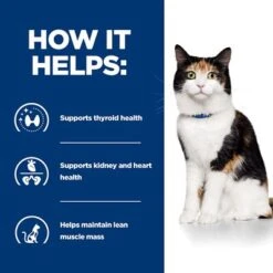 Hill's Prescription Diet Feline Y/d Thyroid Care -Perfect Care Shop pd yd cat bk26252m bk32822 how helps uk 1