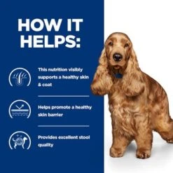 Hill's Prescription Diet Canine Z/d Food Sensitivities 13 Hill's Prescription Diet Canine Z/d Food Sensitivities -Perfect Care Shop pd zd dog bk30873m bk30972 how helps uk 8