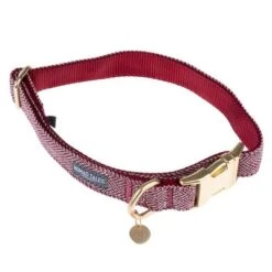 Nomad Tales Calma Collar, Burgundy