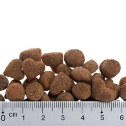 Feringa Adult Chicken & Trout -Perfect Care Shop prod 01 9