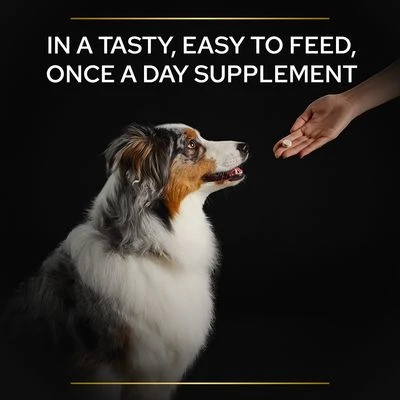 Pro Plan Dog Multivitamins Supplement Tablet - Image 8