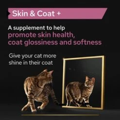 Pro Plan Cat Adult Skin & Coat Supplement Oil -Perfect Care Shop pu proplan uk supplements skin coat cat l 1 2