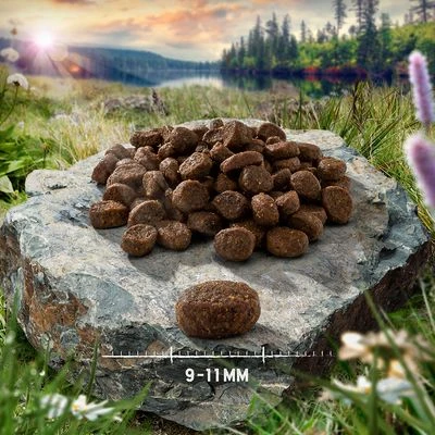 2 X 6.5kg Purizon Dry Cat Food - €10 Off!* 5 2 X 6.5kg Purizon Dry Cat Food - €10 Off!* - Image 5