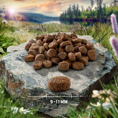 Purizon Adult Dry Cat Food Mixed Trial Pack 6 Purizon Adult Dry Cat Food Mixed Trial Pack - Image 6