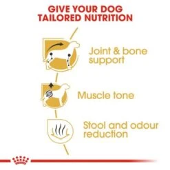 Royal Canin Dachshund Adult -Perfect Care Shop rc bhn dachshund cv eretailkit 3 5