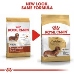 Royal Canin Dachshund Adult -Perfect Care Shop rc bhn dachshund cv eretailkit 4 6