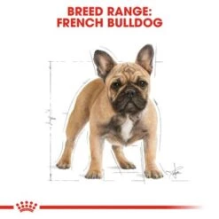 Royal Canin French Bulldog Adult -Perfect Care Shop rc bhn frenchbulldog cv eretailkit 1 4