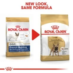 Royal Canin French Bulldog Adult -Perfect Care Shop rc bhn frenchbulldog cv eretailkit 4 5