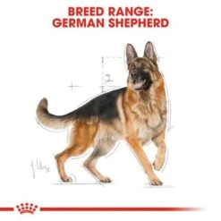 Royal Canin German Shepherd Adult 13 Royal Canin German Shepherd Adult -Perfect Care Shop rc bhn germanshepherd cv eretailkit 1 7