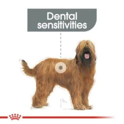 Royal Canin Care Nutrition Maxi Dental Care -Perfect Care Shop rc ccn dentalmaxi cv eretailkit 1 ufeff 1 min 7
