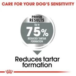 Royal Canin Care Nutrition Maxi Dental Care -Perfect Care Shop rc ccn dentalmaxi cv eretailkit 2 1 5