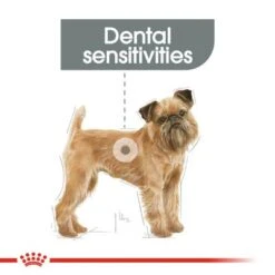 Royal Canin Mini Dental Care -Perfect Care Shop rc ccn dentalmini cv eretailkit 1 7