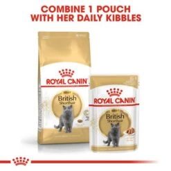 Royal Canin British Shorthair Adult -Perfect Care Shop rc fbn britishsh cv eretailkit 4 4