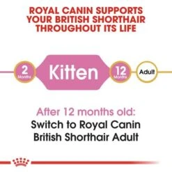 Royal Canin British Shorthair Kitten 9 Royal Canin British Shorthair Kitten -Perfect Care Shop rc fbn kittenbritishshorthair cv1 001 uk english 9