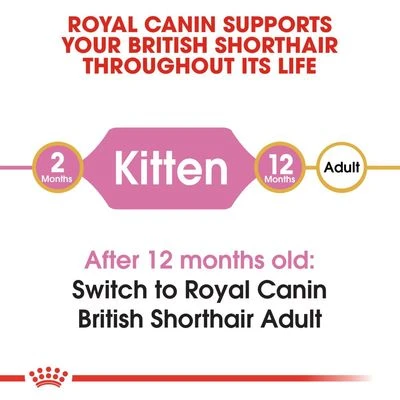 Royal Canin British Shorthair Kitten 5 Royal Canin British Shorthair Kitten - Image 5