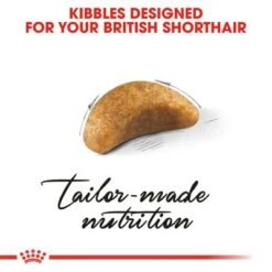 Royal Canin British Shorthair Kitten 7 Royal Canin British Shorthair Kitten -Perfect Care Shop rc fbn kittenbritishshorthair cv3 017 uk english 9