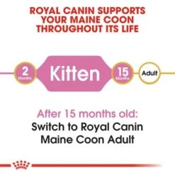 Royal Canin Maine Coon Kitten 11 Royal Canin Maine Coon Kitten -Perfect Care Shop rc fbn kittenmainecoon cv1 002 uk english 7