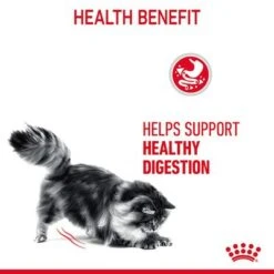 Royal Canin Digestive Care In Gravy 12 Royal Canin Digestive Care In Gravy -Perfect Care Shop rc fcn digestivecarepouchgravy 6 en gb 3