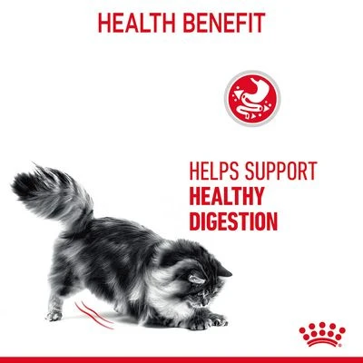 Royal Canin Digestive Care In Gravy 5 Royal Canin Digestive Care In Gravy - Image 5