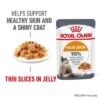 Royal Canin Hair & Skin Care In Jelly