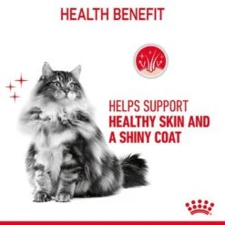 Royal Canin Hair & Skin Care In Jelly -Perfect Care Shop rc fcn hair skinpouchjelly 6 en gb 5