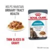Royal Canin Urinary Care In Gravy