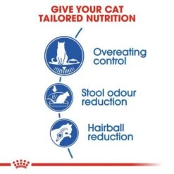Royal Canin Indoor Appetite Control -Perfect Care Shop rc fhn indoorappetitecontrol cv eretailkit 2 2