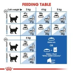 Royal Canin Indoor Appetite Control -Perfect Care Shop rc fhn indoorappetitecontrol cv eretailkit 4 2