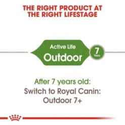 Royal Canin Outdoor Cat -Perfect Care Shop rc fhn outdoor cv eretailkit 1 1